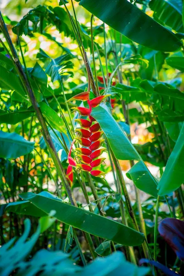 Hytte Lumeria Maui, Educational Retreat Center Makawao